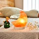 himalayan pink salt lamp